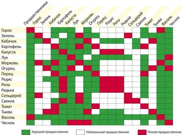 таблица севооборота овощных культур на огороде