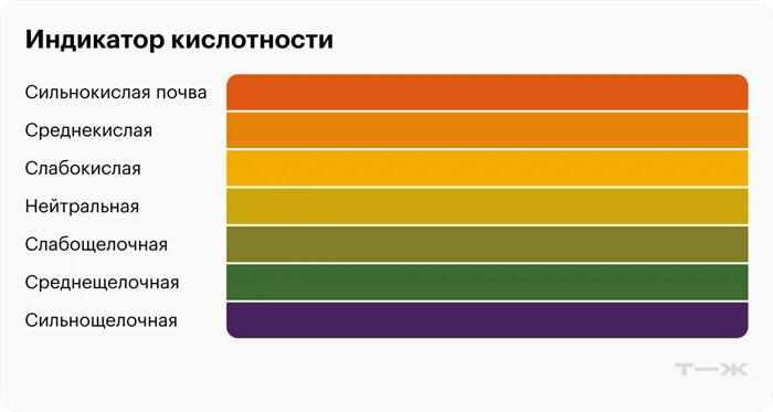 Гортензия: сорта и особенности. Самые важные правила посадки и ухода за кустарником 9