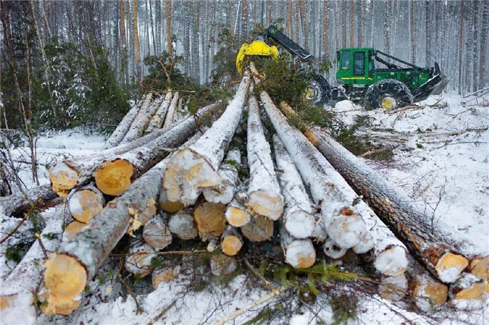 заготовка древесины под брус