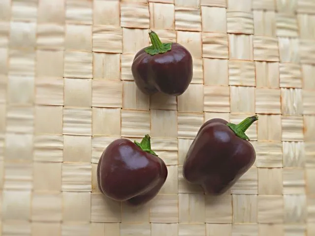 Перец сладкий Мини Белл шоколад (Capsicum annuum ‘Mini Bell Chocolate’)