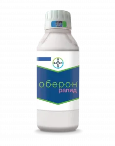 Bayer Oberon Rapid