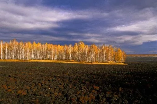 Чернозем Урала