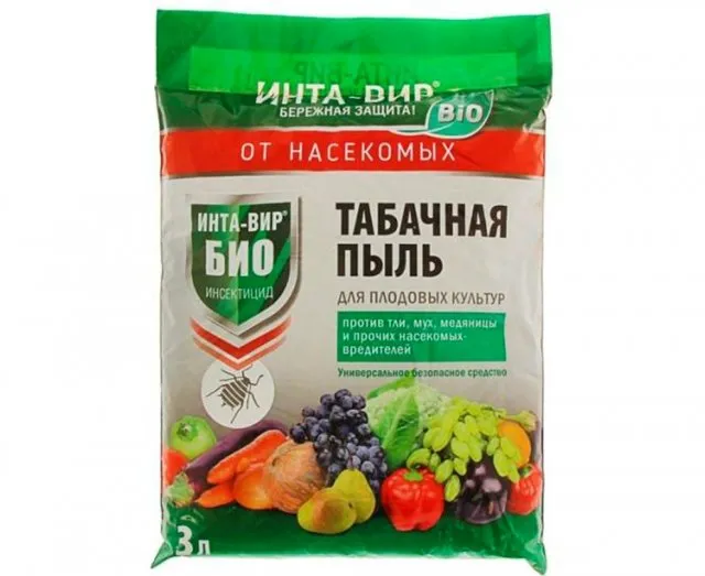 Важно помнить, что табачной пылью обрабатывают не сам лук, а междурядья и борозды. Можно использовать ее в чистом виде, а можно смешать с песком в пропорции 1:1