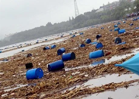 Растения для водоёмов