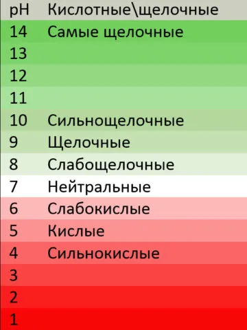 Какую почву любит гортензия и как ее подкислить 2