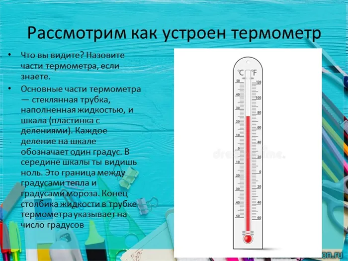 Рассмотрим, как устроен термометр. Что вы видите? Назовите части термометра, если знаете.