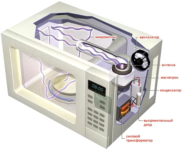 Компоненты типичной микроволновой печи
