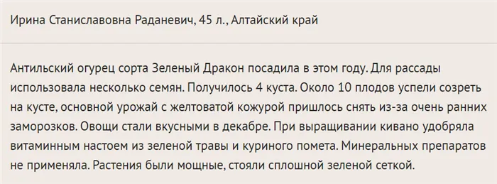 Кивано - суперфуд для похудения. Чем он полезен. Его лечебные свойства