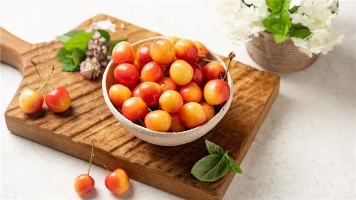 Чем вишня отличается от черешни 3